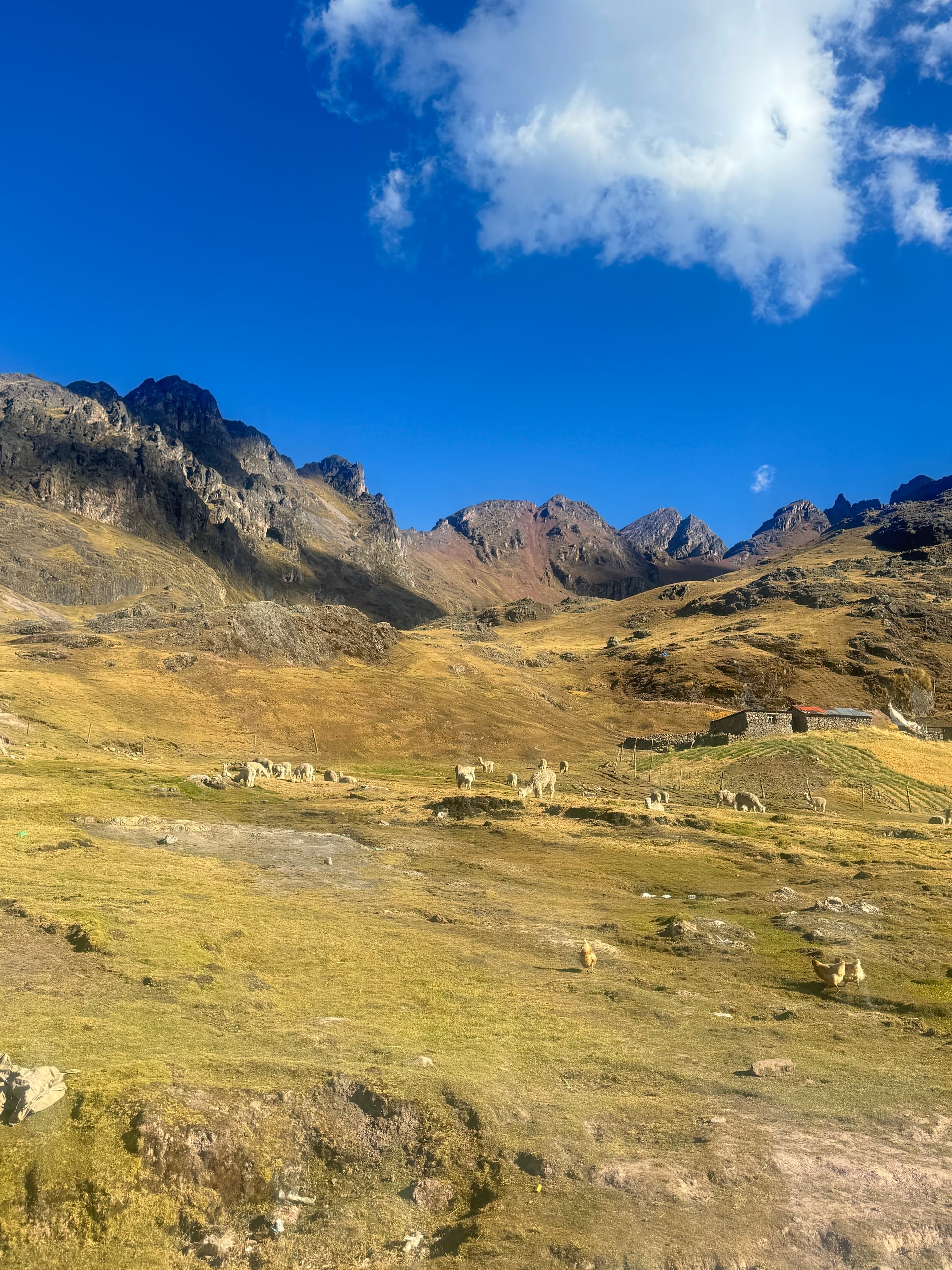 Plateau d'altitude doré et sommets rocheux sur la piste vers les eaux thermales de Lares