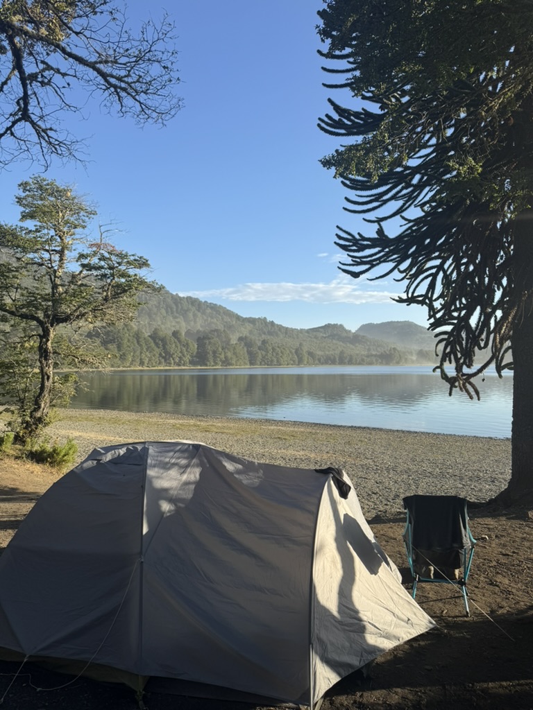 La Big Agnes Blacktail Hotel 2 montée au bord d'un lac, sous un araucaria, dans la province de Neuquén